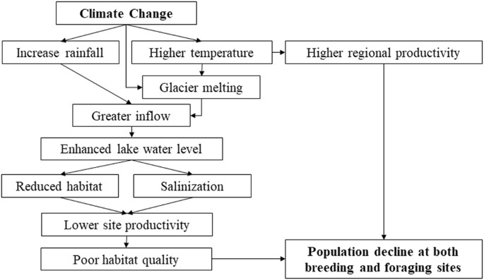 Climate Change Flow Chart