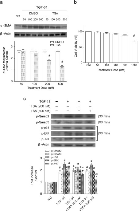 Trichostatin A Ameliorates Renal Tubulointerstitial Fibrosis - 