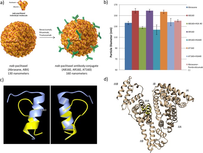 Identification of a peptidepeptide binding motif in the coating of nab