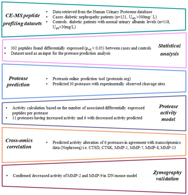 Urinary Peptidomics Analysis Reveals Proteases Involved In