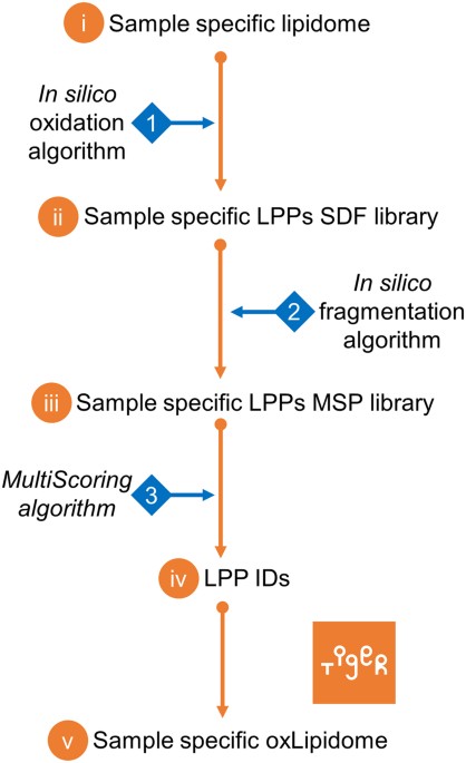 Lpptiger Software For Lipidome Specific Prediction And