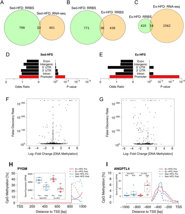 transcriptomic and epigenetic responses to short term nutrient