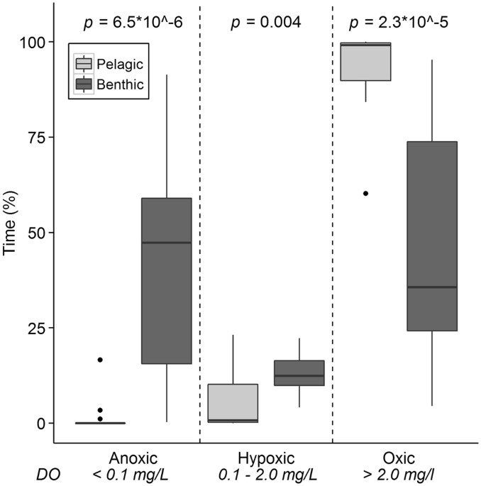 Oxygen Drives Benthic Pelagic Decomposition Pathways In