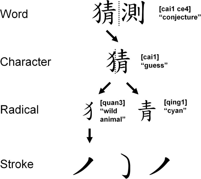 Lexical processing of Chinese sub-character components: Semantic activation  of phonetic radicals as revealed by the Stroop effect | Scientific Reports