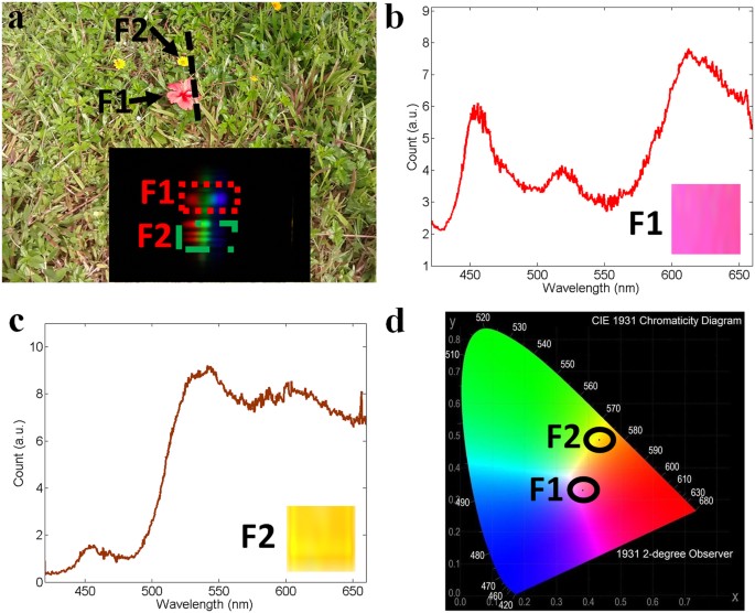A mobile devicebased imaging spectrometer for environmental monitoring by attaching a