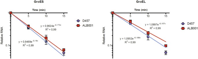 Genome-wide analysis shows that rnase g plays a global role in the stability of mrnas in stenotrophomonas maltophilia