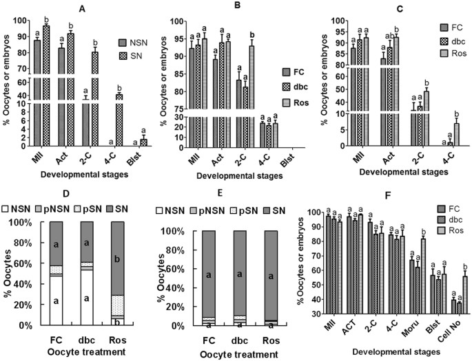 Mechanisms by which in vitro meiotic arrest and sexual maturity improve developmental potential of mouse oocytes