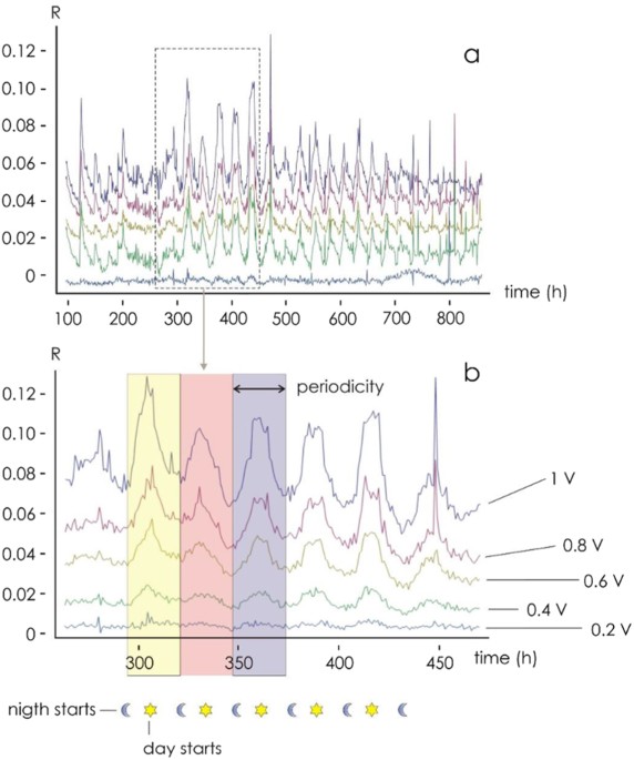 An in vivo biosensing, biomimetic electrochemical transistor with applications in plant science