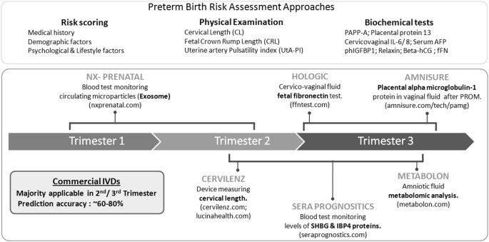 First Trimester Vaginal Microbiome Diversity A Potential Indicator Of Preterm Delivery Risk Scientific Reports