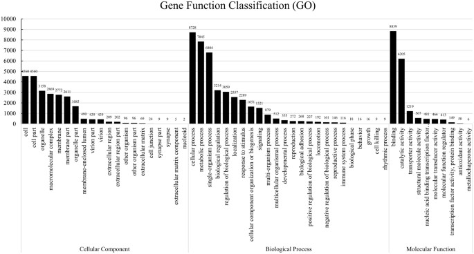 Image Result For Best Dimondback Explorer Image Result For Best Dimondback Explorer