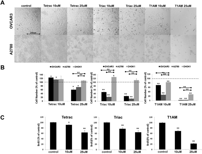 Thyroid Hormones Derivatives Reduce Proliferation And Induce Cell