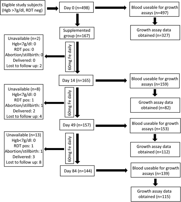 Iron Supplement Comparison Chart