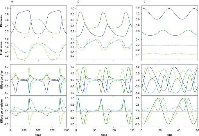 Disentangling Eco Evolutionary Dynamics Of Predator Prey Coevolution The Case Of Antiphase Cycles Scientific Reports