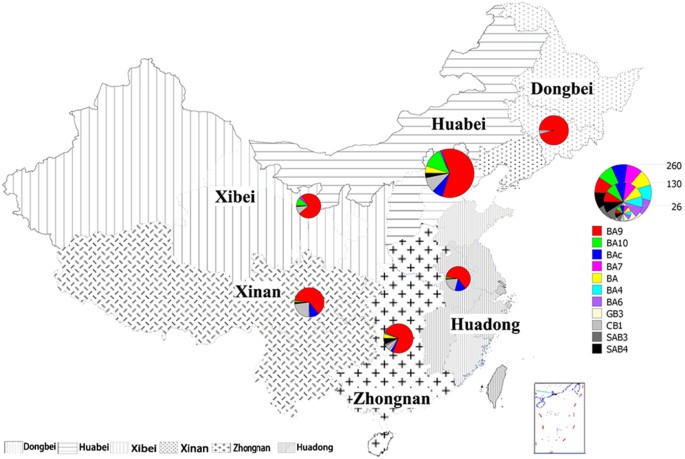 Emergence of ba9 genotype of human respiratory syncytial virus subgroup b in china from 2006 to 2014