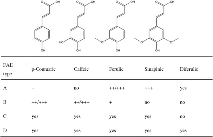 Insights Into Substrate Binding Of Ferulic Acid Esterases By Arabinose And Methyl Hydroxycinnamate Esters And Molecular Docking Scientific Reports