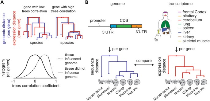 brain gene expression signature