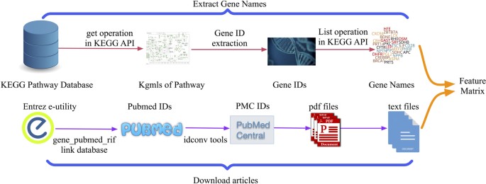 Multi Label Deep Learning For Gene Function Annotation In Cancer