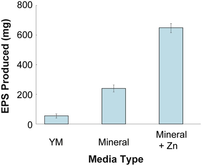 Microbial petition of Rhodotorula mucilaginosa UANL 001L and E