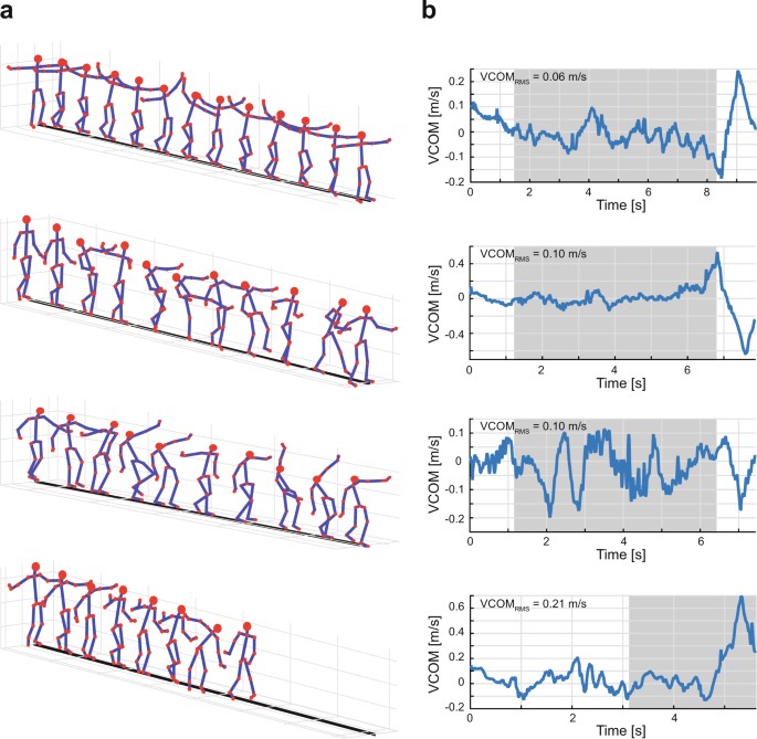 Low-dimensional organization of angular momentum during walking on a narrow beam