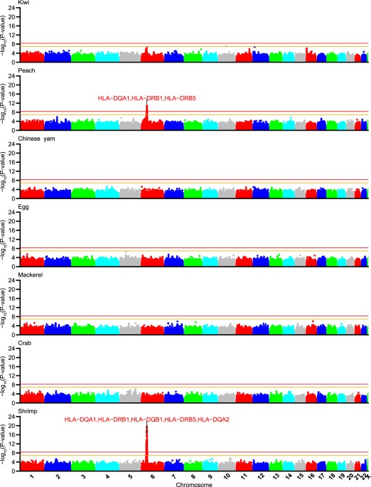 Hla Disease Association Chart