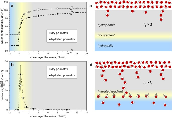 Nanoconfined Water Can Orient And Cause Long Range Dipolar Interactions With Biomolecules Scientific Reports
