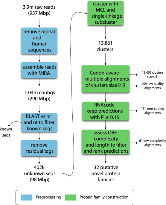 discovering viral genomes in human metagenomic data by predicting