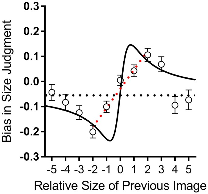 Past visual experiences weigh in on body size estimation