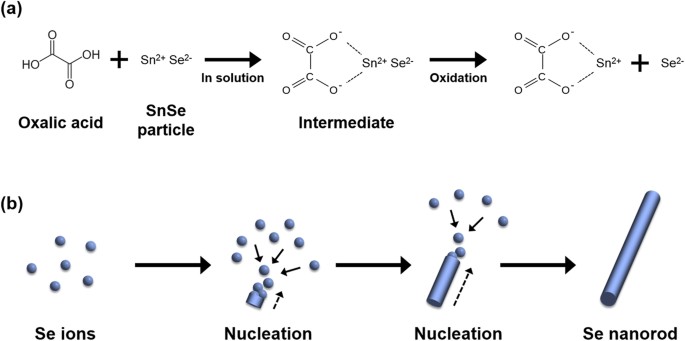 Hydrothermal transformation of snse crystal to se nanorods in oxalic acid solution and the outstanding thermoelectric power factor of se/snse composite