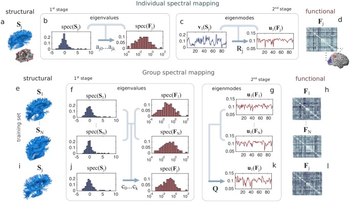 spectral mapping of brain functional connectivity from diffusion functional map