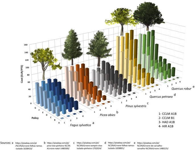 Realizing Mitigation Efficiency of European Commercial Forests by Climate  Smart Forestry | Scientific Reports