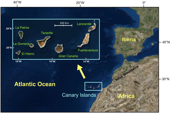 Aeromagnetic anomalies reveal the link between magmatism and tectonics  during the early formation of the Canary Islands | Scientific Reports