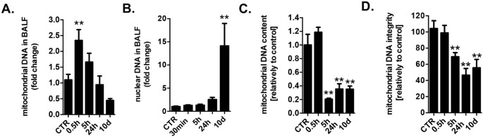 Mitochondrial Dna Damage And Subsequent Activation Of Z Dna Binding Protein 1 Links Oxidative Stress To Inflammation In Epithelial Cells Scientific Reports