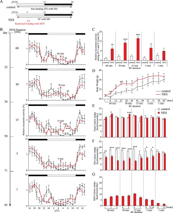 Night Eating Model Shows Time Specific Depression Like Behavior In The Forced Swimming Test Scientific Reports