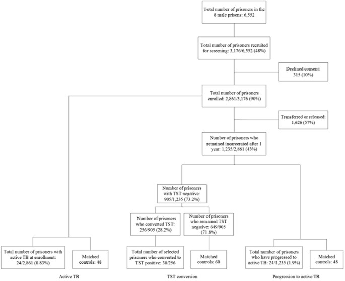 Serum Vitamin D Levels And Risk Of Prevalent Tuberculosis Incident Tuberculosis And Tuberculin Skin Test Conversion Among Prisoners Scientific Reports Serum Vitamin D Levels And Risk Of Prevalent Tuberculosis Incident Tuberculosis And Tuberculin Skin Test Conversion Among Prisoners Scientific Reports
