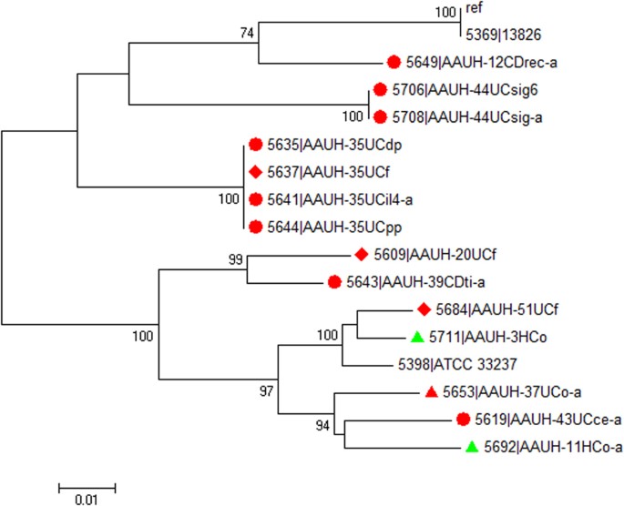 molecular epidemiology and comparative genomics of campylobacter da form 5692 r