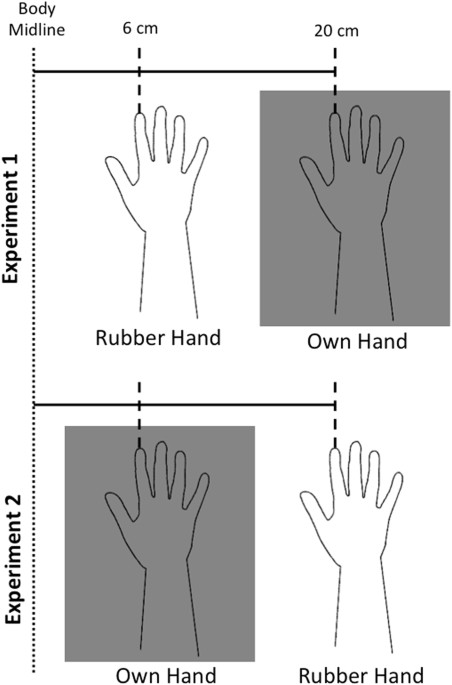 Rubber Hand illusion, take 1 