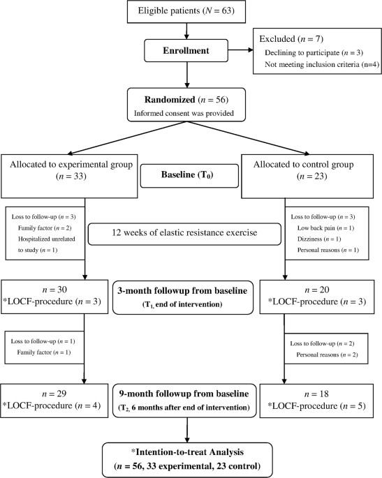 Effects of elastic band exercise on lean mass and physical capacity in  older women with sarcopenic obesity: A randomized controlled trial |  Scientific Reports