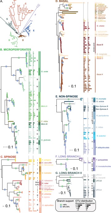 Surface Ocean Metabarcoding Confirms Limited Diversity In