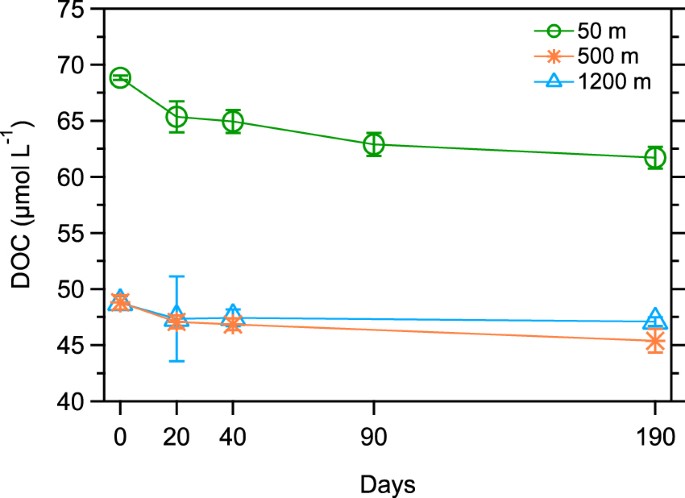 Mixing it up in the ocean carbon cycle and the removal of refractory