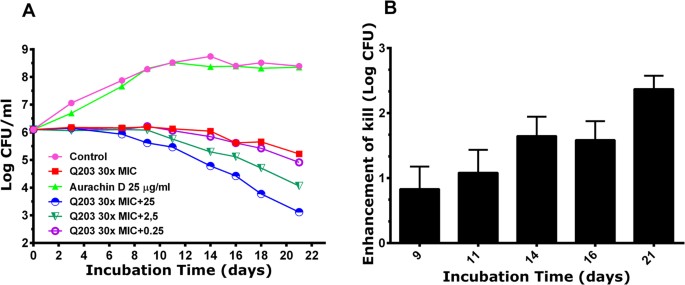 The Anti Mycobacterial Activity Of The Cytochrome Bcc Inhibitor Q203 Can Be Enhanced By Small Molecule Inhibition Of Cytochrome Bd Scientific Reports