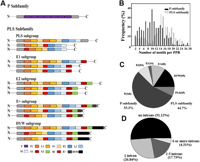 Genome Wide Investigation Of Pentatricopeptide Repeat Gene Family In Poplar And Their Expression Analysis In Response To Biotic And Abiotic Stresses Scientific Reports