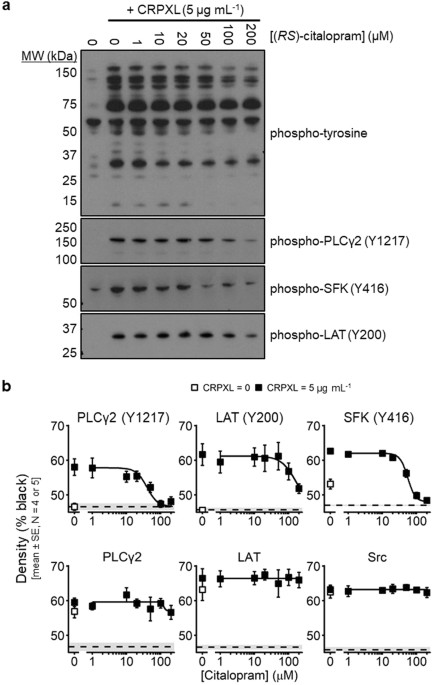 phenergan and zofran risks of zofran while pregnant