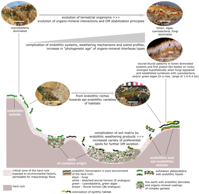 alteration of rocks by
