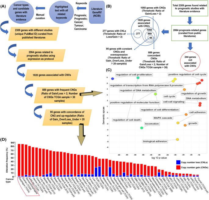 Cancer Gene Twice As Likely To Be >> Identification Of Novel Prognosis Related Genes Associated With Cancer Gene Twice As Likely To Be >> Identification Of Novel Prognosis Related Genes Associated With