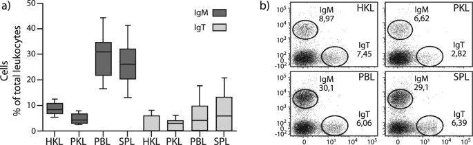 Profiling Atlantic Salmon B Cell Populations Cpg Mediated Tlr Ligation Enhances Igm Secretion And Modulates Immune Gene Expression Scientific Reports