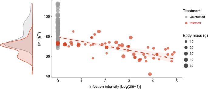 Body Size Influences Energetic And Osmoregulatory Costs In Frogs Infected With Batrachochytrium Dendrobatidis Scientific Reports