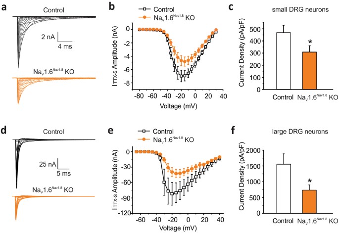 Conditional Knockout Of Na V 1 6 In Adult Mice Ameliorates Neuropathic Pain Scientific Reports