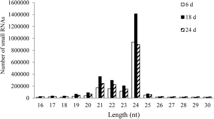 Identification And Characterization Of Micrornas In Tree Peony During Chilling Induced Dormancy Release By High Throughput Sequencing Scientific Reports