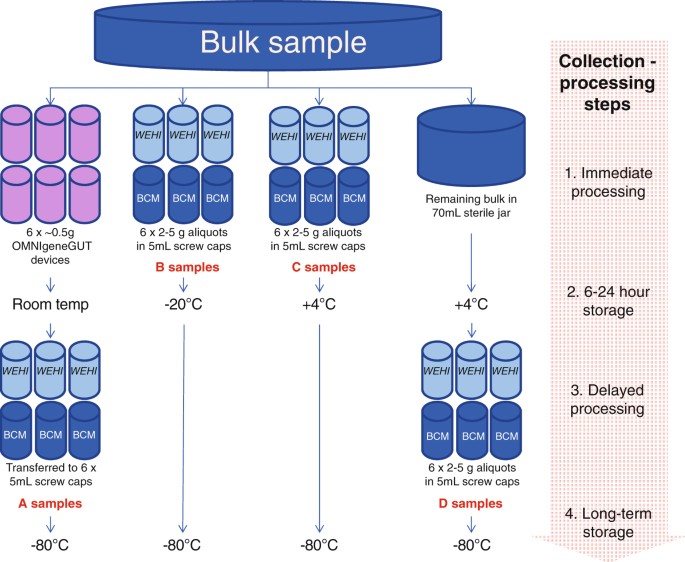 Influence of fecal collection conditions and 16S rRNA gene sequencing at two centers on human gut microbiota analysis