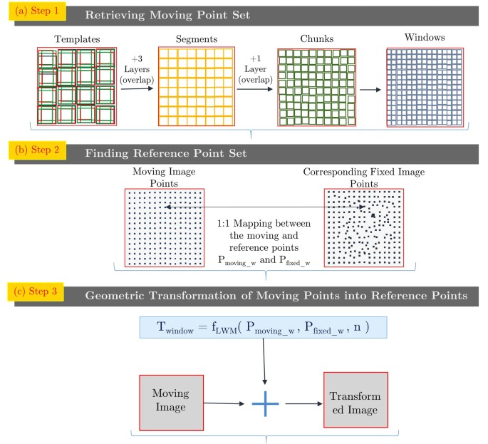 A Novel Hierarchical Template Matching Model For Cardiac Motion Figure 1